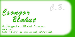 csongor blahut business card